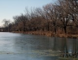 Thin Ice on Roebling Park Lake