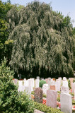 St. Gallen, Friedhof Bruggen