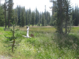 2011-09-09 9 026.JPG