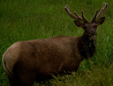 DSC05951.jpg