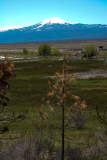 DSC05969.jpg