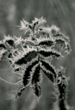 img011.JPG