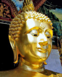 Face of the Buddha