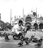 Birdman of Venice