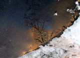 reflection in melted snow.jpg