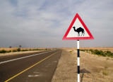 camel sign.jpg