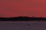 Snowmobiles on the Moose River at sunset 2011 November 29th