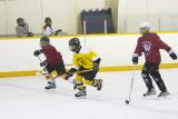 Hockey practice, pee wee division