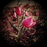 March 19 2011