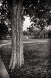 April 27 2011