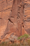 Rock Column - Ruins - Canyon de Chelly