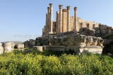 865 Voyage en Jordanie - IMG_1351_DxO Pbase.jpg