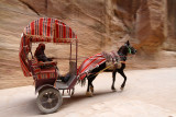 1370 Voyage en Jordanie - IMG_1885_DxO Pbase.jpg