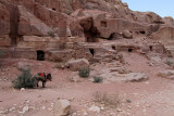 1621 Voyage en Jordanie - IMG_2117_DxO Pbase.jpg