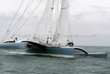 1040 Multi50 Trophee du Port de Fecamp 2011 - MK3_4681_DxO Pbase.jpg