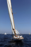 253 Voiles de Saint-Tropez 2011 - IMG_2606_DxO Pbase.jpg