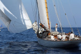 471 Voiles de Saint-Tropez 2011 - MK3_5576_DxO Pbase.jpg