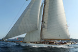 2997 Voiles de Saint-Tropez 2011 - MK3_6396_DxO format WEB.jpg