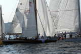 3131 Voiles de Saint-Tropez 2011 - IMG_4441_DxO format WEB.jpg