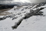 Auvergne - Région de Besse - Randonnées hivernales en janvier 2012
