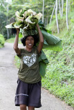 2317 - Discovering Indonesia - Java Sulawesi and Bali islands - IMG_4431_DxO Pbase.jpg