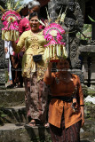 2380 - Discovering Indonesia - Java Sulawesi and Bali islands - IMG_4494_DxO Pbase.jpg