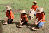 1908 - Discovering Indonesia - Java Sulawesi and Bali islands - IMG_4009_DxO Pbase.jpg