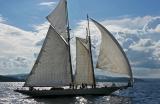 Voiles de Saint-Tropez 2005 -  Voiliers de tradition