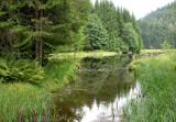34 Tourbière du lac de Lispach
