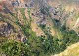 99 Vers le Hohneck