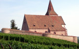 314 Unawihr - l'église fortifiée depuis les vignes