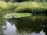 375 Petite Camargue
