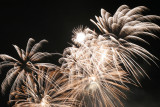 Feux d'artifice du 14 juillet à La Baule IMG_0047_DXO.jpg