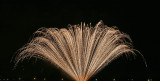 Feux d'artifice du 14 juillet au Pouliguen - IMG_0208_DXO.jpg
