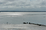 Le Croisic - IMG_0236_DXO.jpg