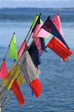 Port du Croisic - MK3_4439_DXO.jpg