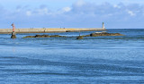 Port du Croisic - MK3_4443_DXO.jpg