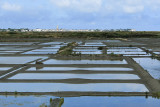Marais salants de la presqu'île Guérandaise - MK3_4469_DXO.jpg