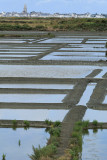 Marais salants de la presqu'île Guérandaise - MK3_4473_DXO.jpg