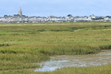 Marais salants de la presqu'île Guérandaise - MK3_4475_DXO.jpg