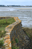 Marais salants de la presqu'île Guérandaise - MK3_4479_DXO.jpg
