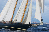 Voiles de Saint-Tropez 2005