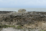 Le tombeau d'Almazor près de Piriac sur Mer - MK3_4527_DXO.jpg