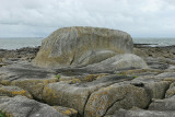 Le tombeau d'Almazor près de Piriac sur Mer - IMG_0260_DXO.jpg