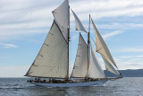 Voiles de Saint-Tropez 2005