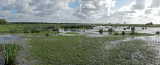 Panorama de la Grande Brière à Bréca 2