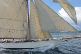 Voiles de Saint-Tropez 2005