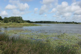 Etang de Sandun - IMG_0327_DXO.jpg