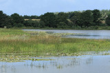 Etang de Sandun - MK3_4588_DXO.jpg