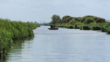 Balade en barque dans la Grande Brière, près de St-André-des-Eaux - MK3_4614_DXO.jpg